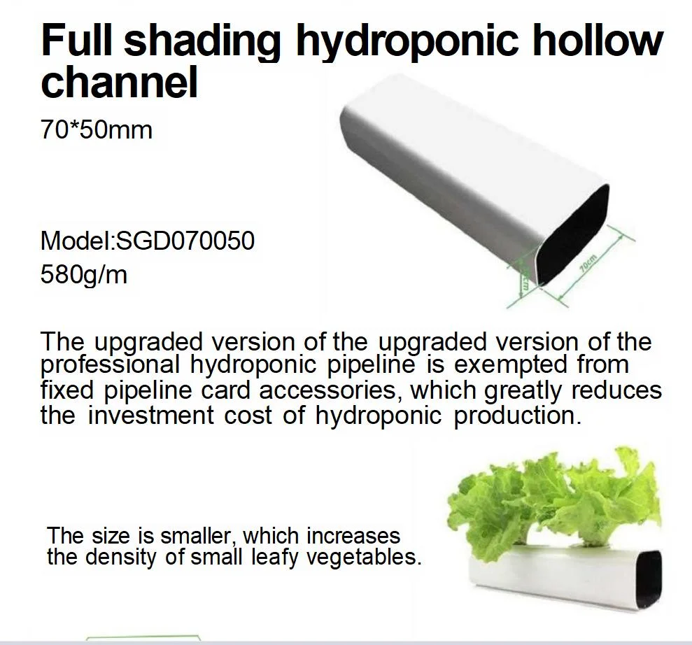 Specialized Production Tomato Special Hydroponic Facility for Growing